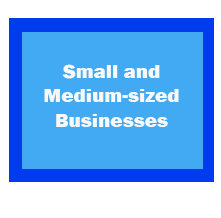 mediumsizedbusinessesfinalsubmition